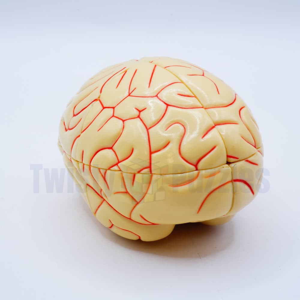 K-Brain Red (K-Ball Logo)