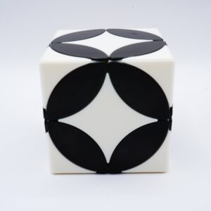 Fisher Cube 3x3x3 piece swap Mod